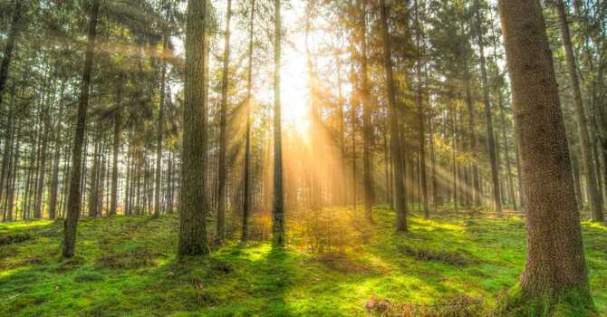 Easing Transitions with the Earth Element image