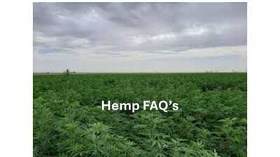 Link to: https://synergyacupuncture.greencompassglobal.com/home/hemp101