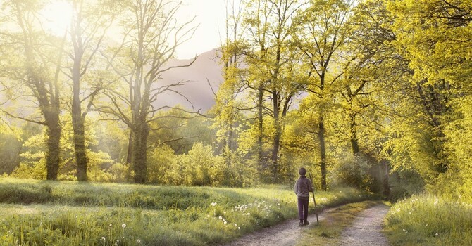 Understanding the Mind-Body Connection in Stress Management